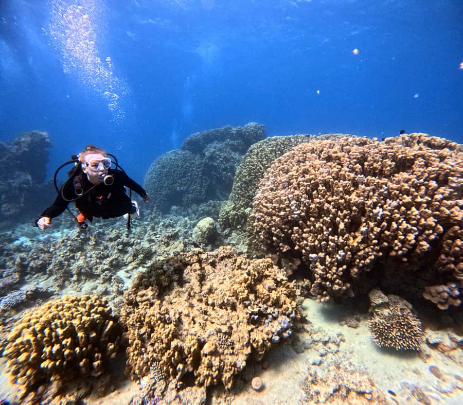 Aqaba: Private Red Sea Diving for Beginner or Experienced - Private instruction and why group size matters here