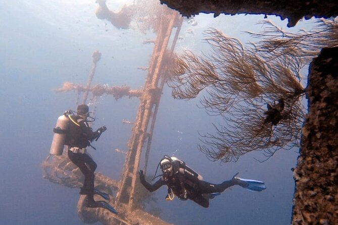 Aqaba Private Scuba Diving Activity with Pick Up - Why Aqaba wrecks and The Tank are such a smart Red Sea choice