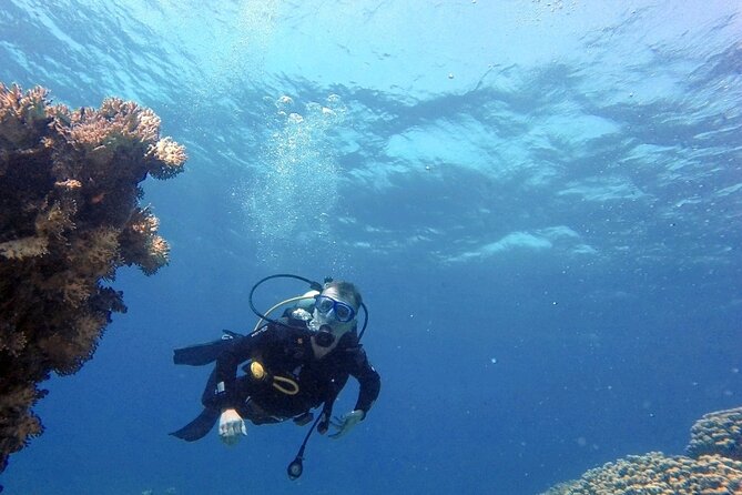 Aqaba Private Scuba Diving Activity with Pick Up - The Tank anti-aircraft tracked vehicle: a different kind of underwater stop