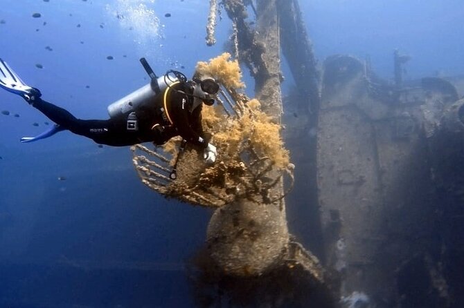 Aqaba Private Scuba Diving Activity with Pick Up - Service quality, calm coaching, and the names you’ll recognize in good reviews