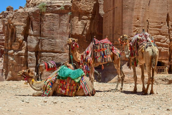 Aqaba Shore Excursion: Private Petra Sightseeing Tour with Lunch - Petra visitor area to the Siq canyon walk