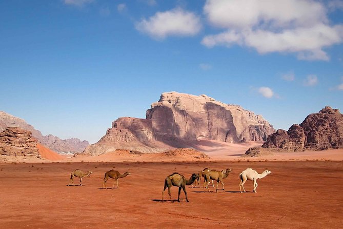 Best of Jordan Tour Amman Petra and Dead Sea with Camping at Wadi Rum - Day 6: Free day in Amman for markets and an easy rhythm