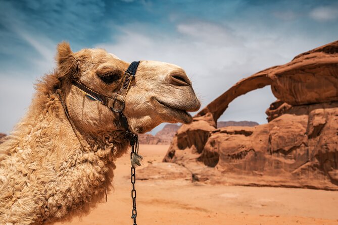 Best of Wadi Rum | Full day Jeep tour + Sleep under the stars | Pack all-in - Stop Through Wadi Rum Protected Area: What You’re Actually Seeing