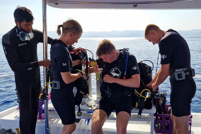 Boat Dive 2 Guided Dives with Lunch Included wreck dive&reef dive - Key Highlights That Make This Aqaba Trip Worth It