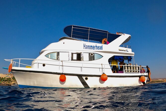 Boat Dive 2 Guided Dives with Lunch Included wreck dive&reef dive - Aqaba’s Gulf: a wreck and reef combo that fits a half-day