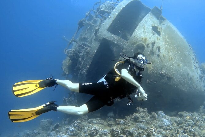 Boat Dive 2 Guided Dives with Lunch Included wreck dive&reef dive - Getting there: pickup, public transport access, and mobile ticketing