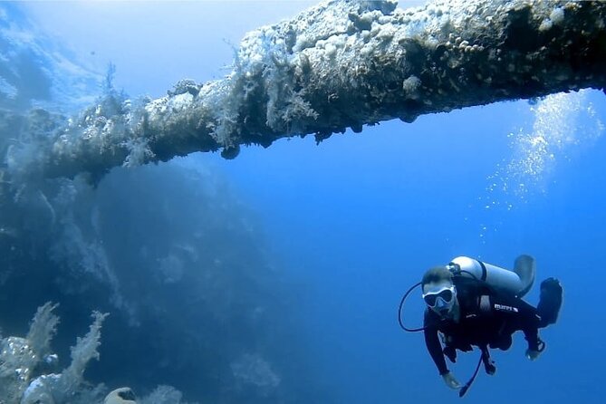 Boat Dive 2 Guided Dives with Lunch Included wreck dive&reef dive - The 10:00 start and your 6-hour rhythm on the boat