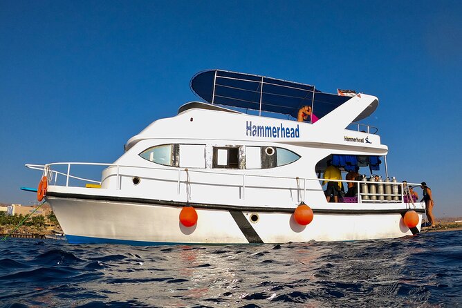 Boat Dive and Snorkeling Experience in Aqaba - Boat scuba and snorkeling in Aqaba: the real value of this Red Sea Bay plan