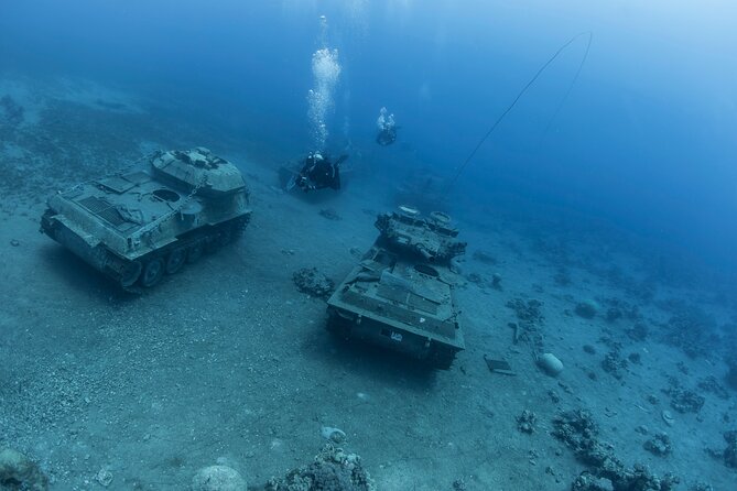 Boat Dive and Snorkeling Experience in Aqaba - What happens at each of the two stops in the Red Sea Bay