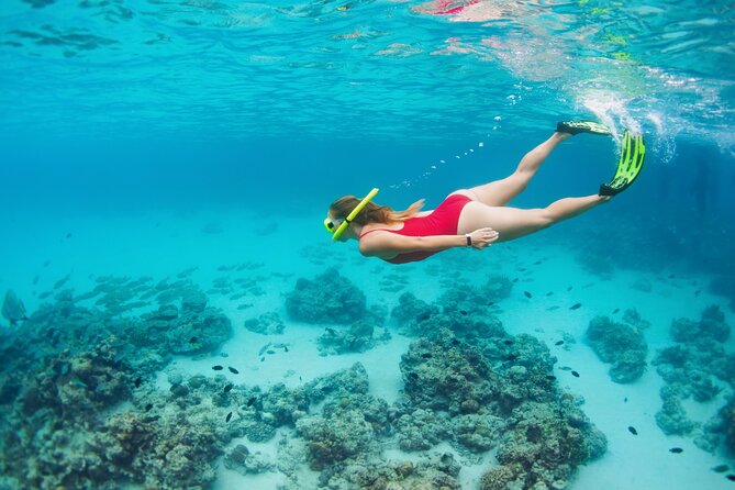 Boat Dive and Snorkeling Experience in Aqaba - Weather and sea conditions: the one factor you cannot control