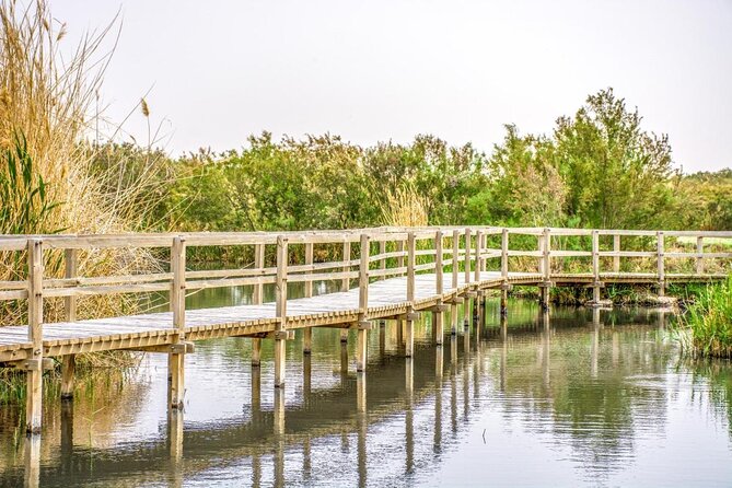 Day Tour Desert Castles & Azraq Wetland Reserve - Key highlights to look forward to