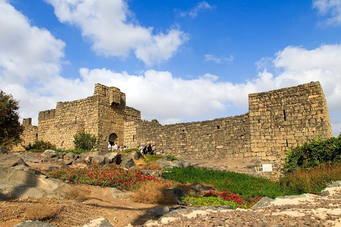Day Tour Desert Castles & Azraq Wetland Reserve - Getting the Most From Each Stop: What to Look For