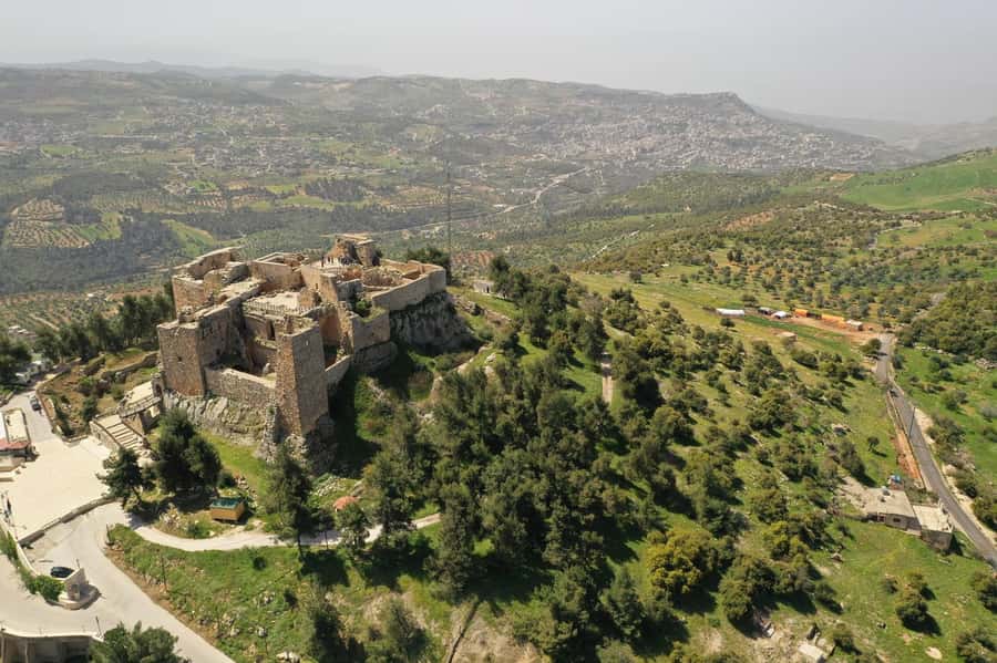 Day Tour Jerash - Ajloun and Um Qais From Amman - Key things that make this trip work so well