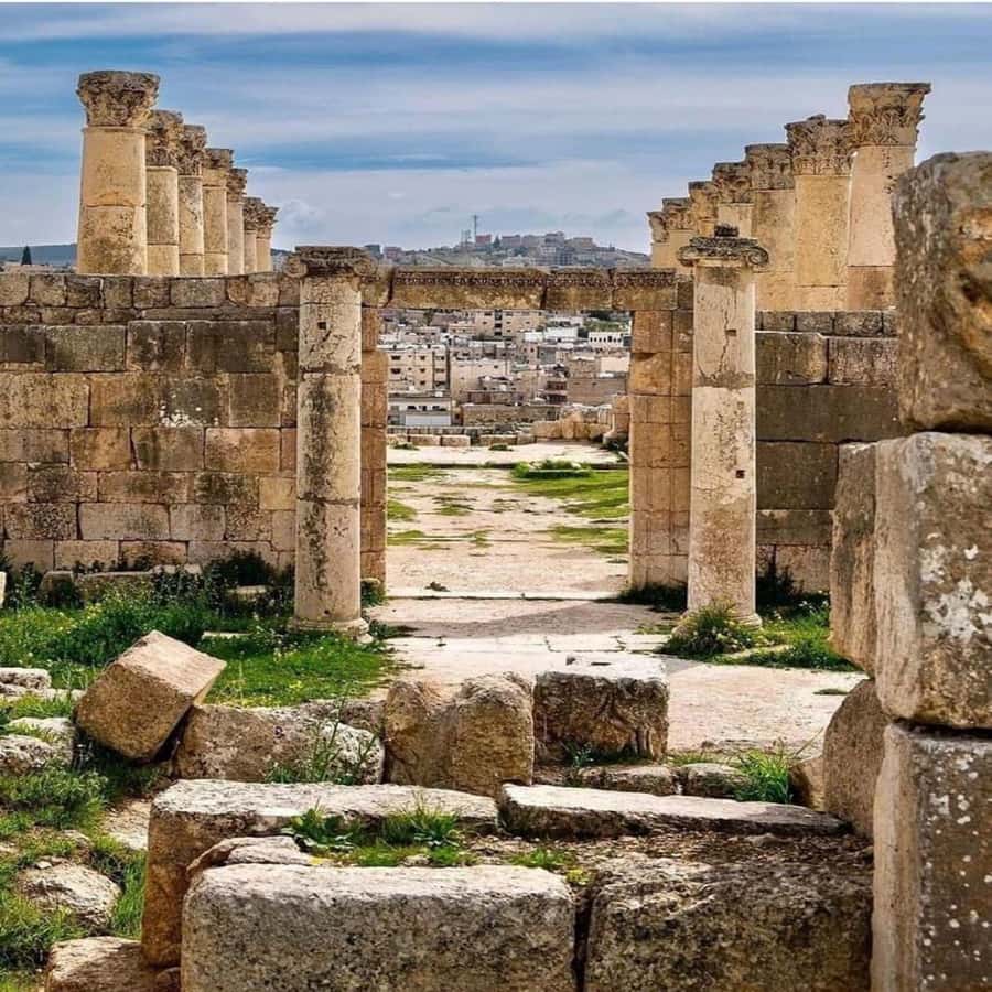 Day Tour Jerash - Ajloun and Um Qais From Amman - Ajloun Castle option: Saladin’s fortress and a different kind of Jordan