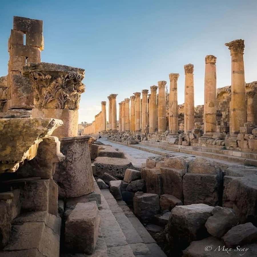 Day Tour Jerash - Ajloun and Um Qais From Amman - Price: what $43 covers and why it can still be good value
