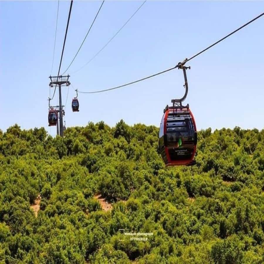 Day Tour Jerash - Ajloun and Um Qais From Amman - Do you need a local guide at Jerash, Ajloun, and Umm Qais?