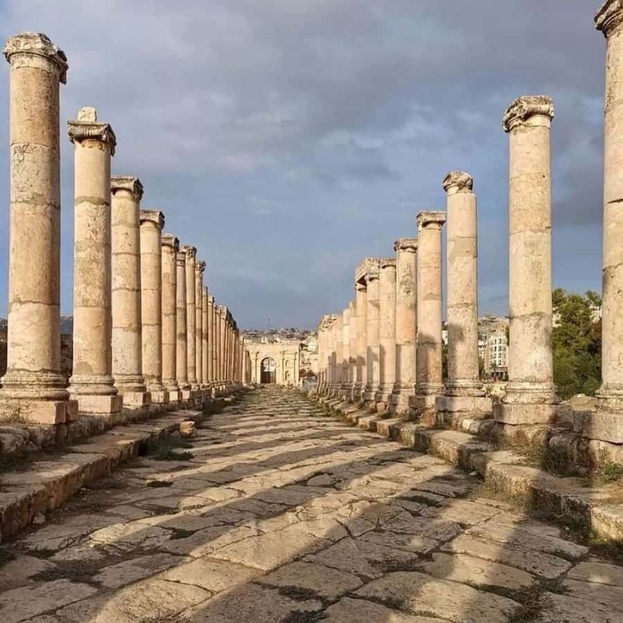 Day Tour Jerash and Amman City Tour From Amman - How transportation, Wi-Fi, and pickup keep a long day manageable