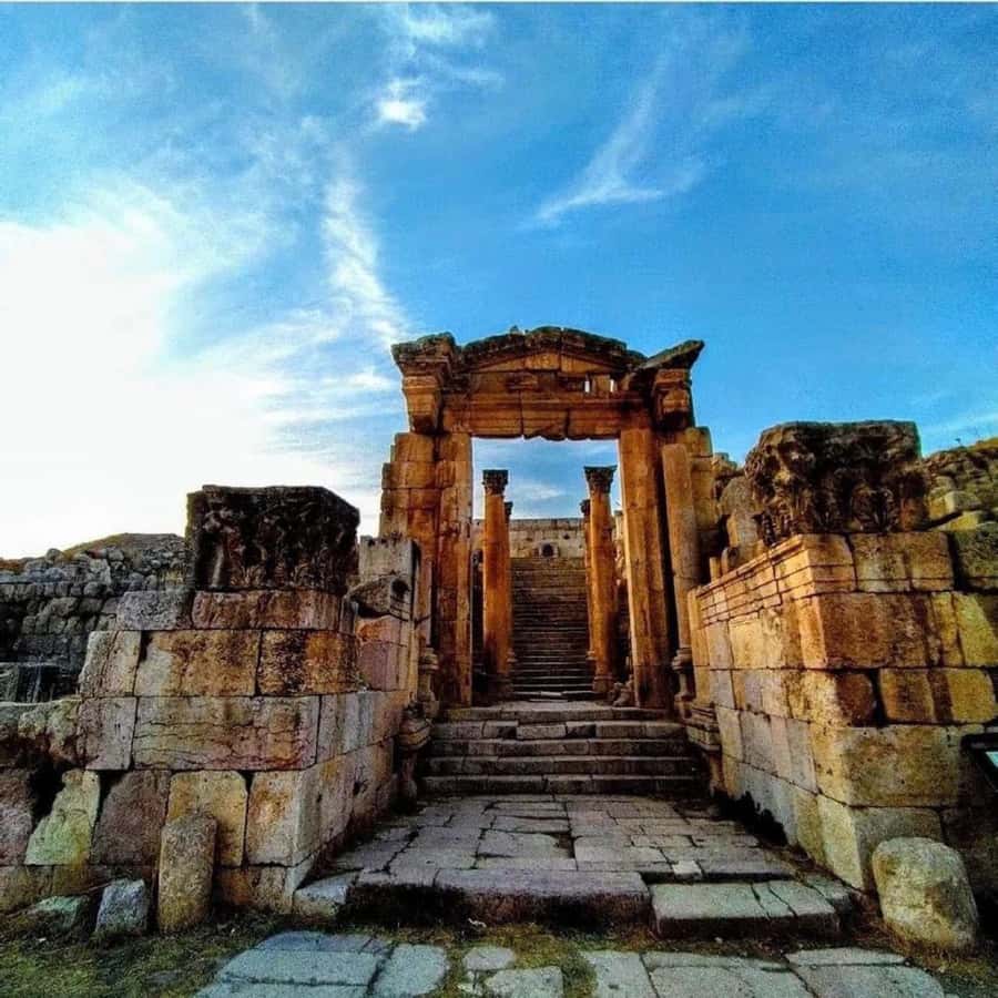Day Tour Jerash and Amman City Tour From Amman - Price and value: what $68 really covers (and what you need to add)