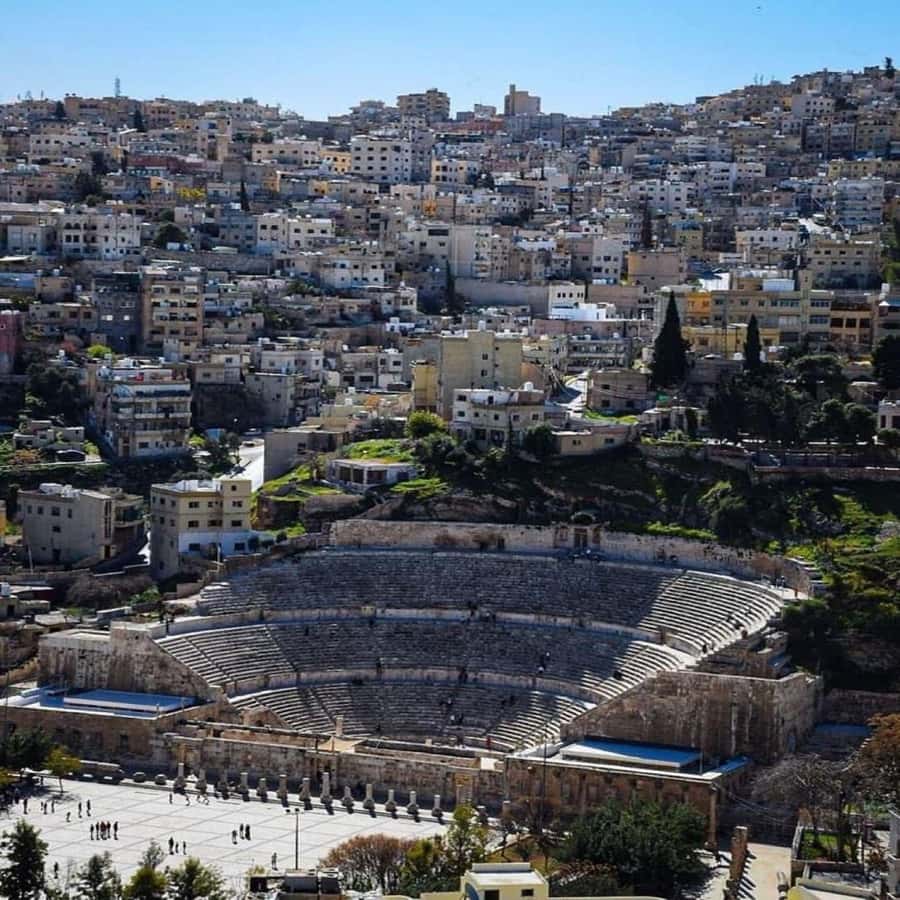 Day Tour Jerash and Amman City Tour From Amman - Who this Jerash and Amman tour suits best