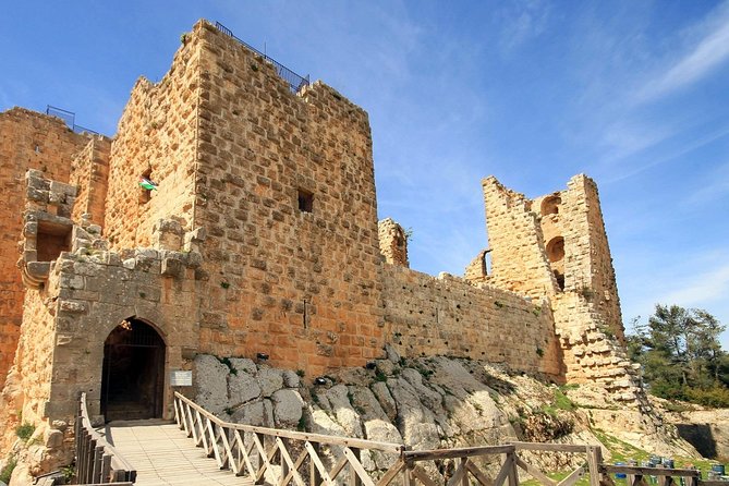 Day tour to Jerash and Ajloun Castle - Jerash Ruins: A Roman Decapolis City You Can Actually Walk