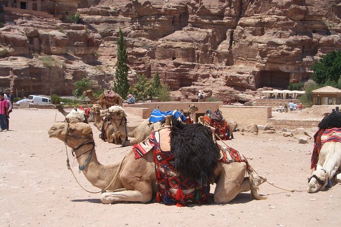 Day Tour to Petra from Dead Sea with lunch - Why this Dead Sea to Petra plan feels less stressful than DIY