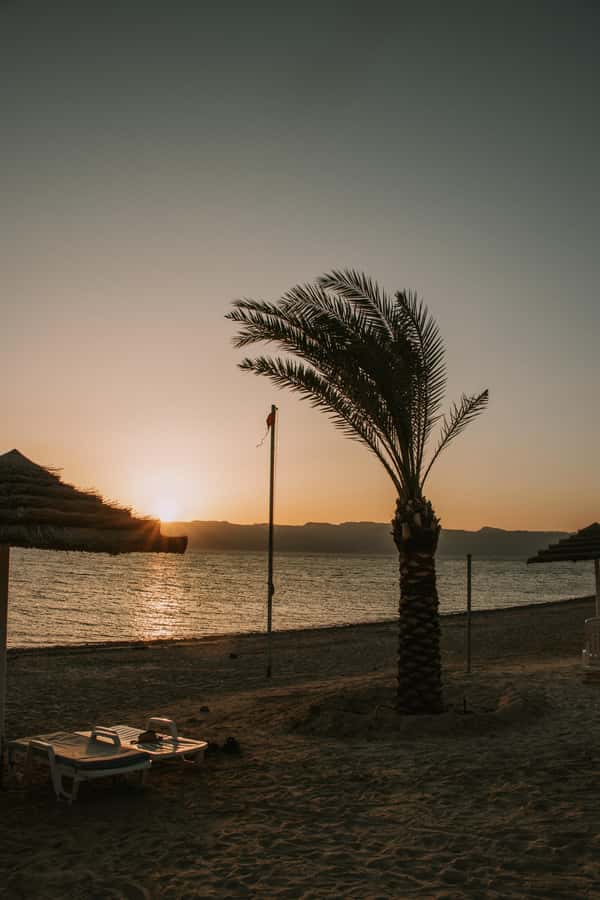 Discover Aqaba in Style: A 3-h City Tour by Car with meal - Included food: Kunafa, coffee, and a real meal stop