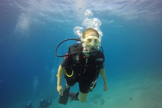 Discover the Depths: Aqaba's Ultimate private Dive Experience - Key Highlights You Should Care About