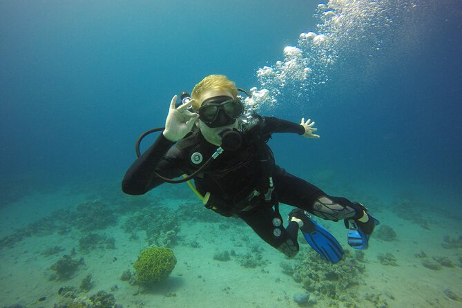 Discover the Depths: Aqaba's Ultimate private Dive Experience - Your 2-Hour Plan: Prep on Land, Then About 30 Minutes Underwater