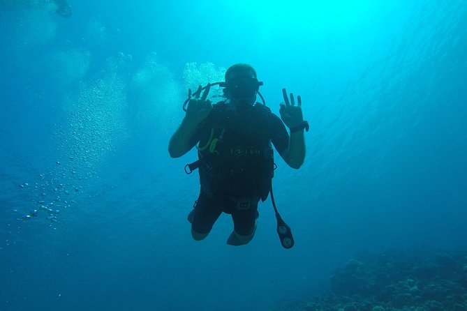 DSD "Discover Scuba Diving" (Min Age 10 Years) - The guided underwater session: what you’ll be doing once you’re ready