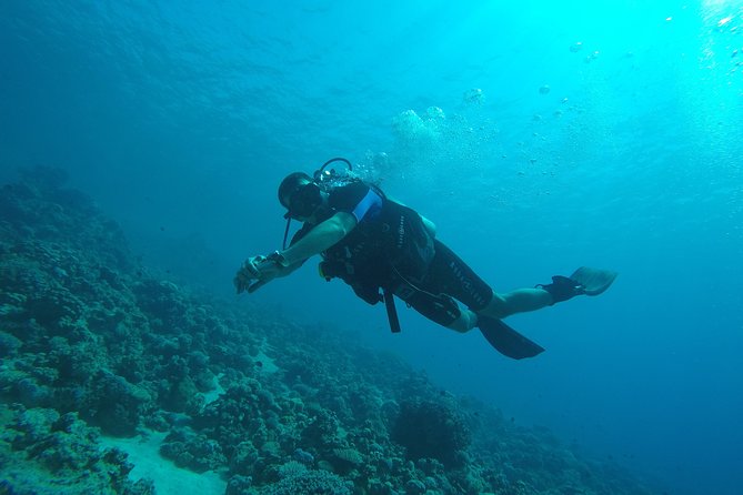 DSD "Discover Scuba Diving" (Min Age 10 Years) - Lunch and hot drinks, because comfort affects learning