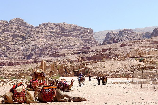 Experience Petra & Wadi Rum in One Day From Amman - Comfort on a 14 to 15 Hour Day: Transport, Timing, and Driver Quality
