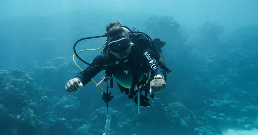 Explore Aqaba's Depths: Scuba Diving Tour, with Hotel Pickup - Key highlights that make this tour work
