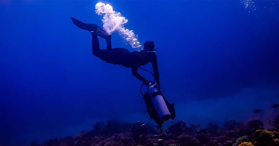 Explore Aqaba's Depths: Scuba Diving Tour, with Hotel Pickup - Reef time with Zee: clear water, coral life, and calm guidance