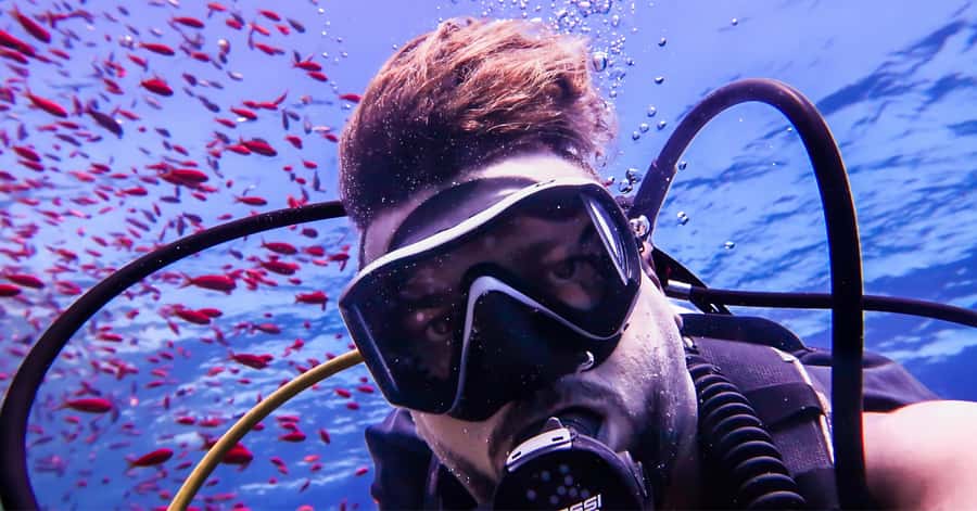 Explore Aqaba's Depths: Scuba Diving Tour, with Hotel Pickup - What’s included for $66, and what you need to plan for