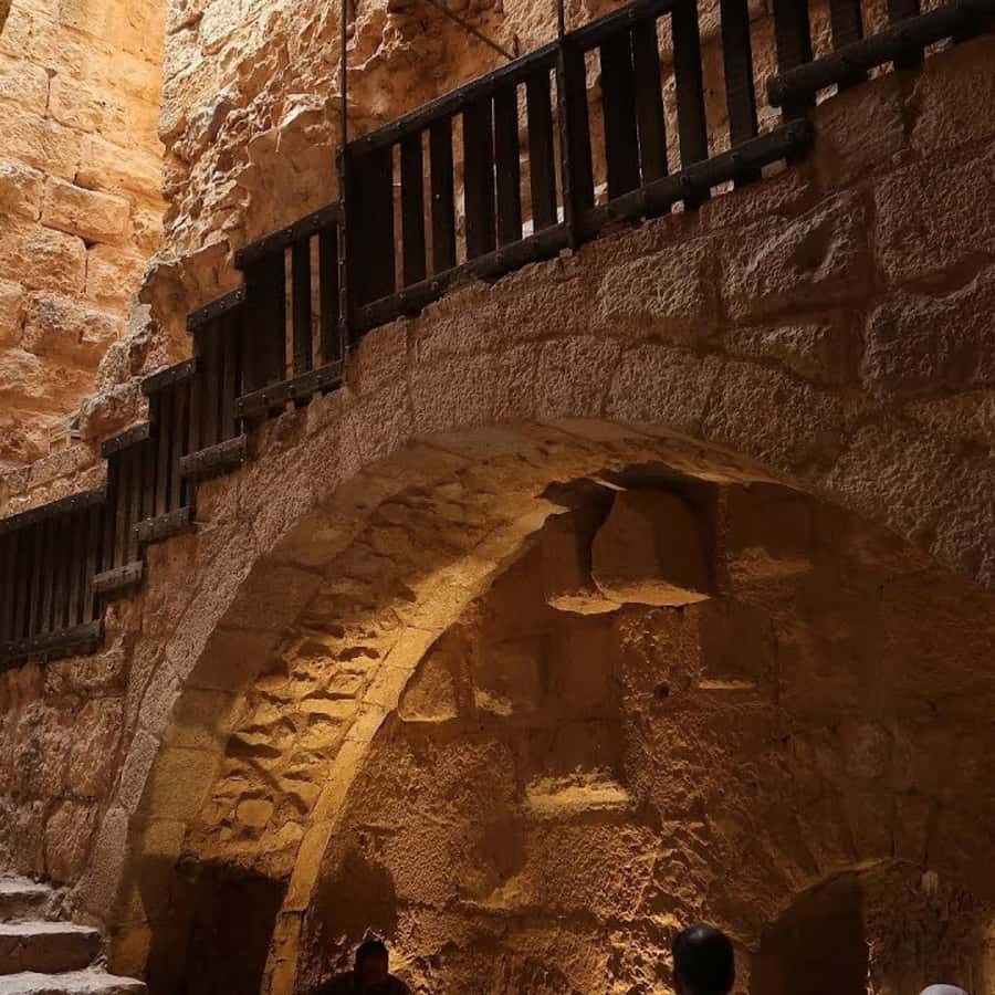 Explore Northern Jordan:Amman to Jerash, Ajloun,and Umm Qais - The driving, the small group, and the role of your English-speaking driver