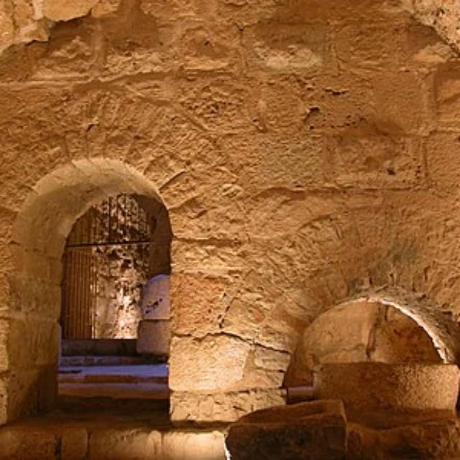 Explore Northern Jordan:Amman to Jerash, Ajloun,and Umm Qais - Price and value: is $102 a fair deal for this one-day hit list?