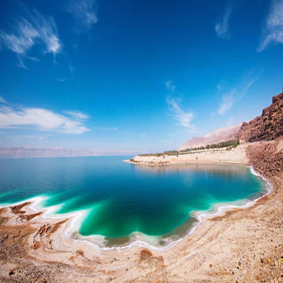Explore the Dead Sea on a Half-Day Tour From Amman - Private Amman Pickup and the Ride Down to the Dead Sea