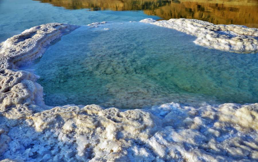 Explore the Dead Sea on a Half-Day Tour From Amman - 5-Star Hotel Access and Lunch When You Want the Extra Comfort