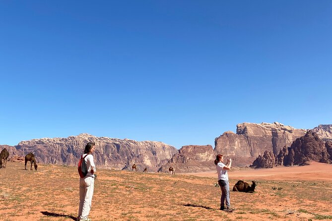 Explore Wadi Rum: Jeep Tour, Bed and Breakfast, and Dinner - Price and what you should double-check before you go