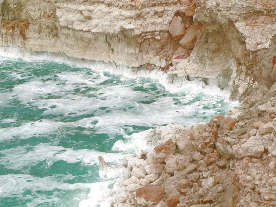 From Amman: 5-Hour Dead Sea Experience with Lunch & Return - Key things to know before you go