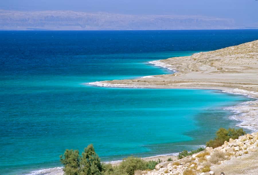 From Amman: 5-Hour Dead Sea Experience with Lunch & Return - Lunch at the resort, how it fits into a 5-hour schedule
