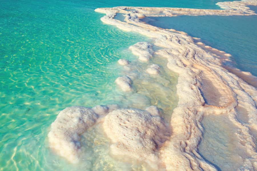 From Amman: 5-Hour Dead Sea Experience with Lunch & Return - A better day with your driver and guide, Omar and Khalid examples
