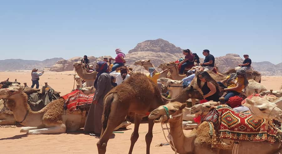 From Amman/Airport: 3-Night Private Jordan Special Tour - Price and what you truly get for $708 per person
