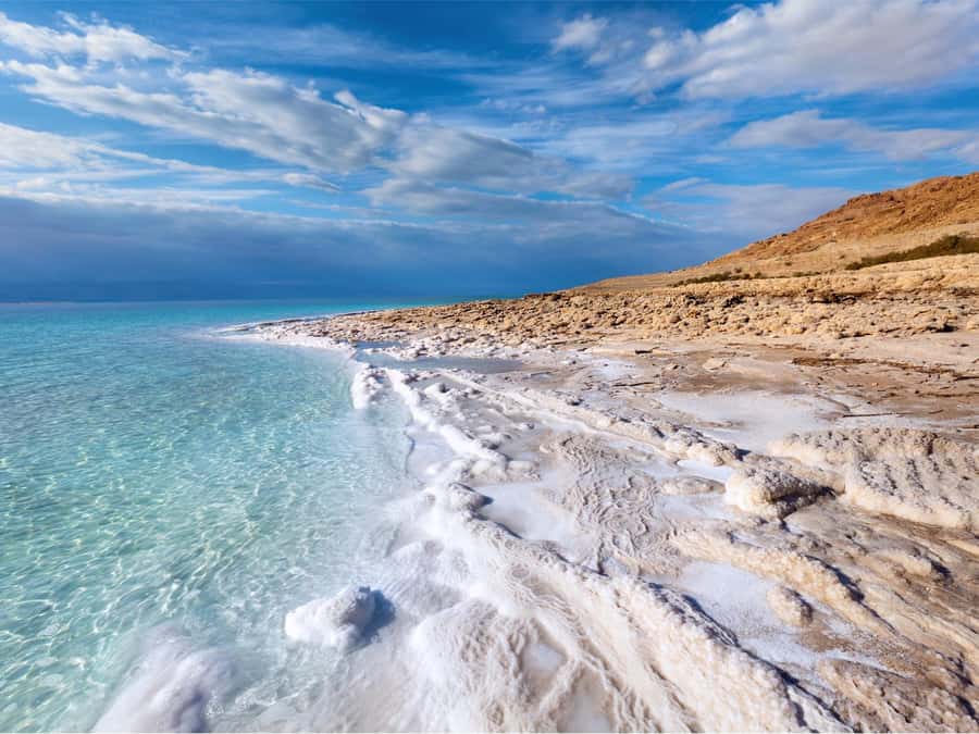 From Amman: Dead Sea 5-Star Resort Day Trip with Lunch - Getting from Amman to the Dead Sea: long day, easy logistics