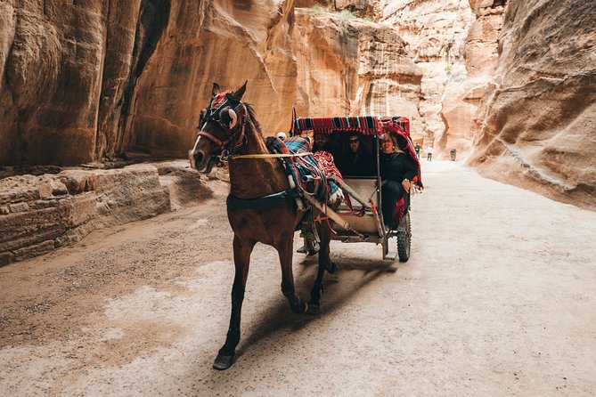 From Amman | Dead sea and Petra in one day | Admission Fees Included - The value angle: does $450 cover what matters?