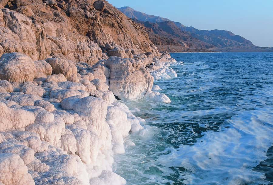 From Amman: Dead Sea and Wadi Mujib Trail Full-Day Tour - Dead Sea Resort Swim Zone: Buoyancy and Mud Without the Chaos
