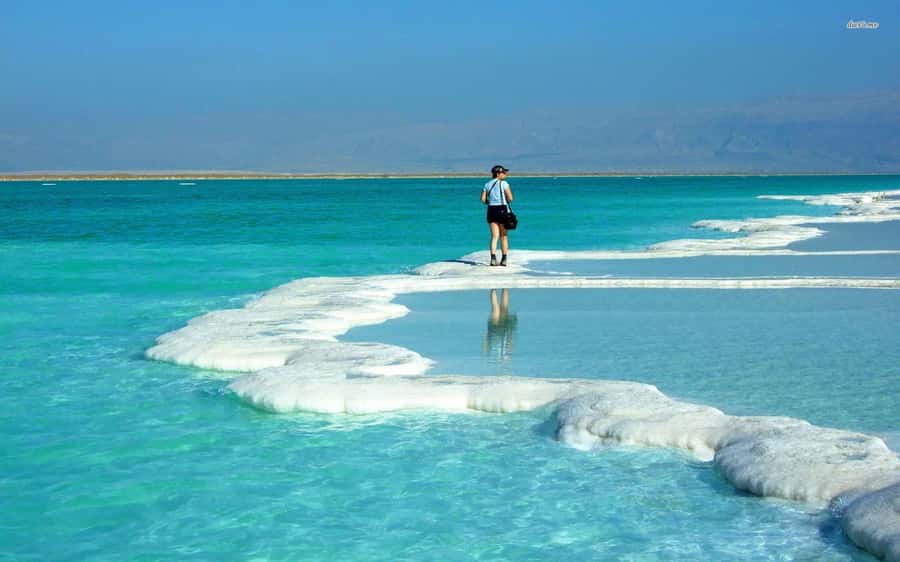 From Amman: Dead Sea, Mt Nebo, Madaba, Baptism full day trip - Price and value, what you actually budget for
