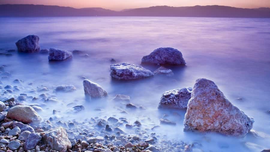 From Amman: Dead Sea, Mt Nebo, Madaba, Baptism full day trip - Who this fits best, and who should think twice
