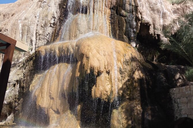 From Amman :Full day Dead Sea and Ma'in Hot spring tour - Getting There From Amman With a Private Driver