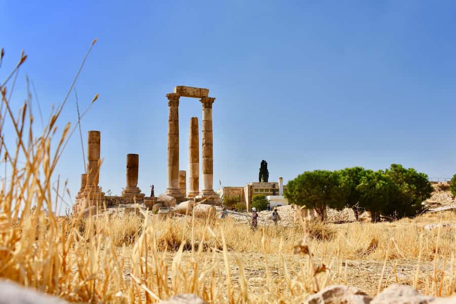 From Amman: Full day Jerash and Amman city Tour - Jerash: One of the Best-Preserved Roman Cities in the Middle East